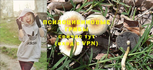 a pvp Верея