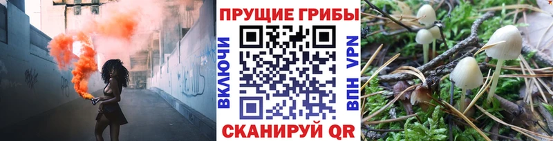 Псилоцибиновые грибы GOLDEN TEACHER  Верхотурье 